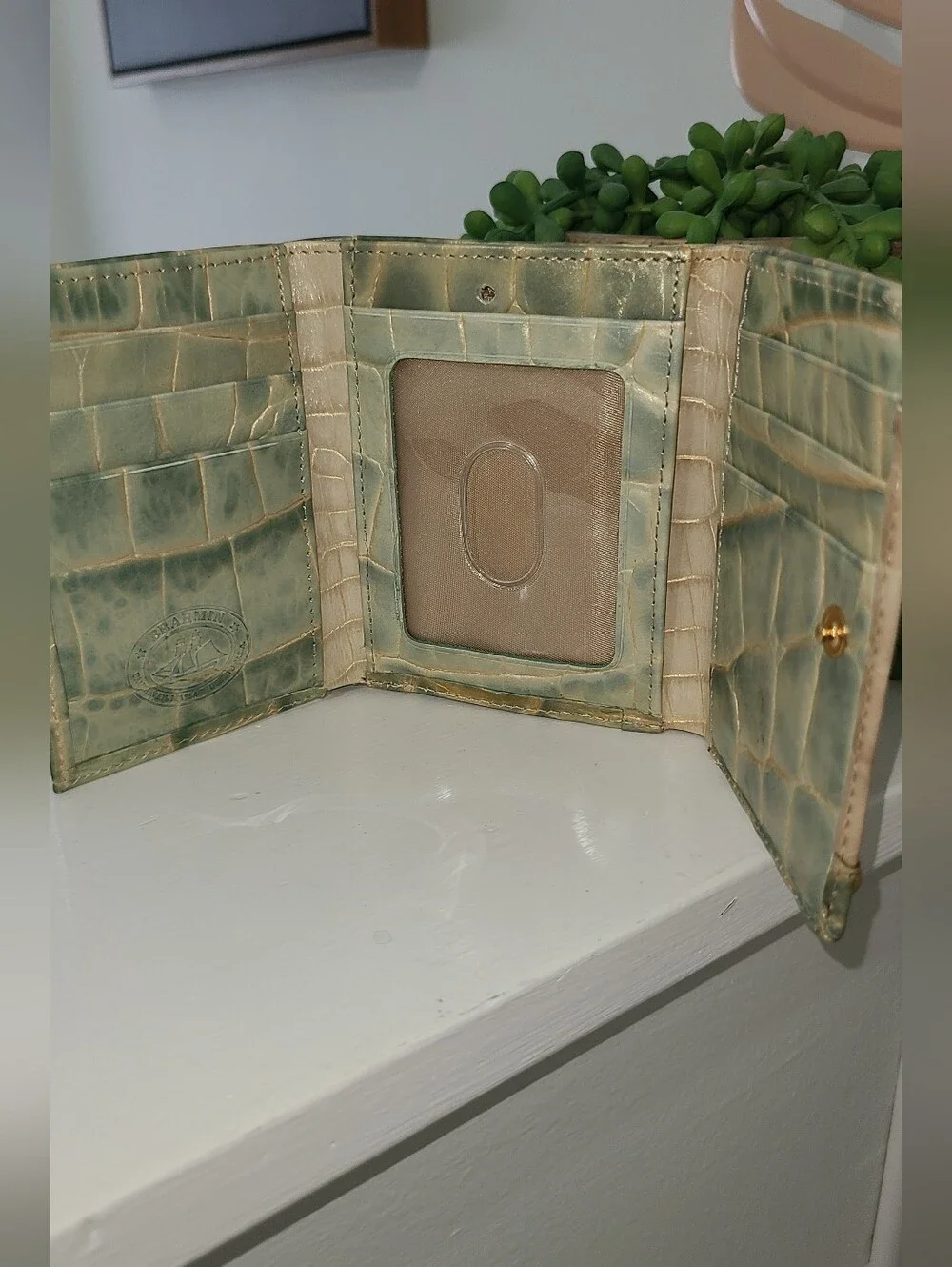 Brahmin Croc-Embossed Compact Wallet in Sage Green And Ivory